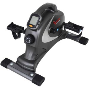 Sunny Health and Fitness SF-B0418 Magnetic Mini Exercise Bike: